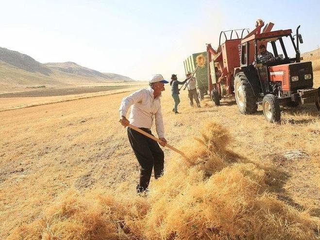 09 880Tarimciftci Kulak 16 9 1620947837 4 3 1643719961