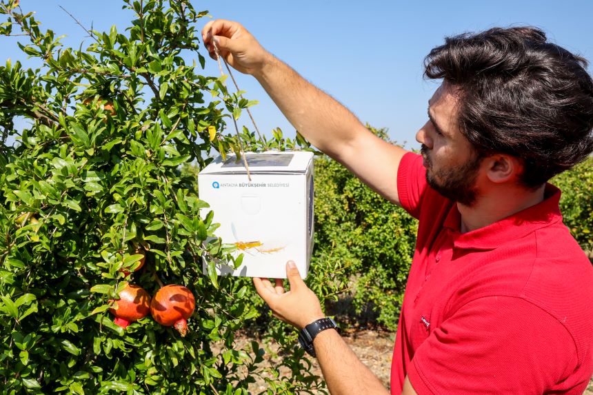 Antalya Büyükşehir Tarımsal Üretime Destek