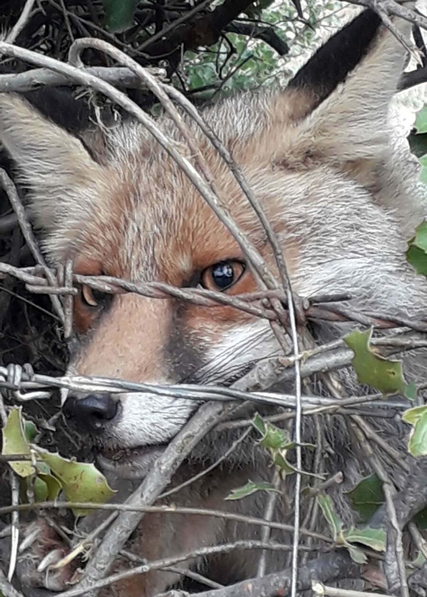 Muğla’da Akıl Almaz Olay! 6