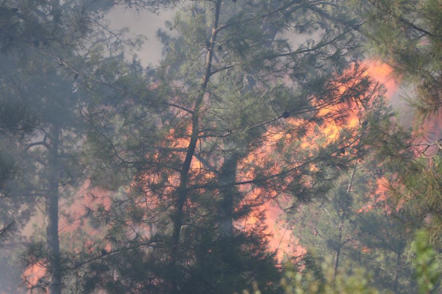 Muğla Yangini (2)