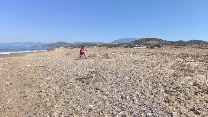 Alanya Sahili Caretta Yuvaları