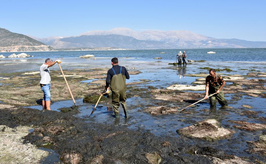 Isparta Eğirdir Gölü’nün Temizlik Çalışmaları Devam Ediyor