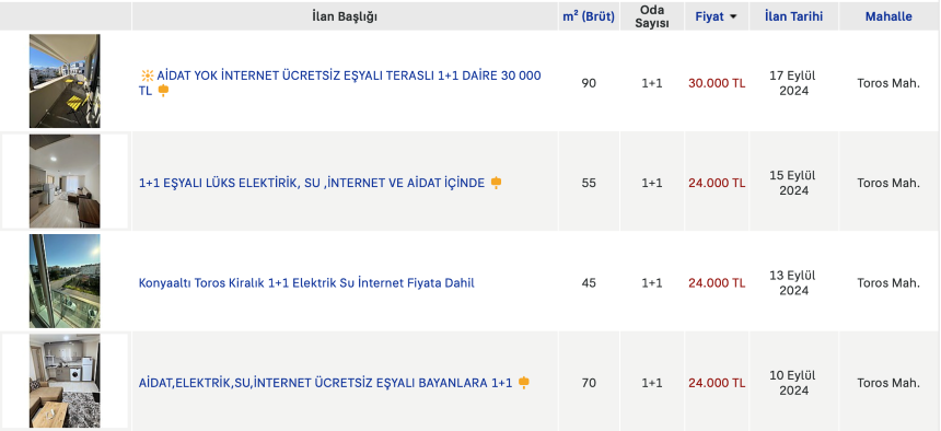 Kültür Konut Kira Fiyatları 3