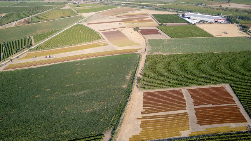 Tarım Arazileri Kuş Bakışı