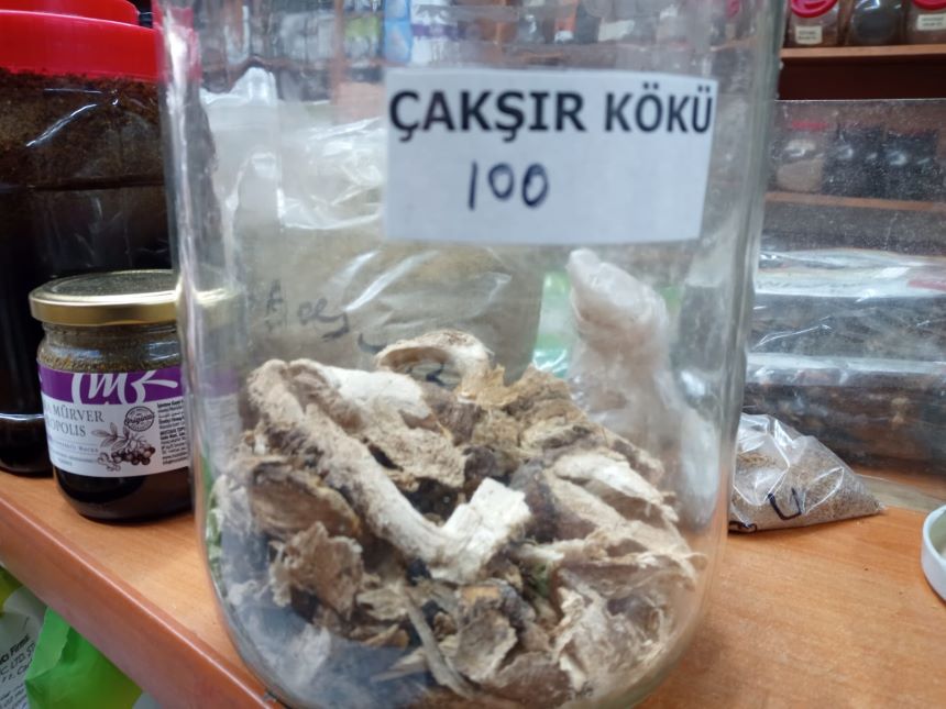 Çakışır Otı Kökü (2)