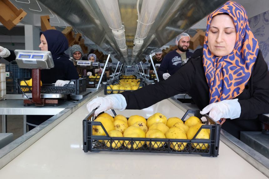 Kumluca Yaş Sebze Meyve Kurutma Ve Paketleme Tesisi Alternatif Ürünler (13)