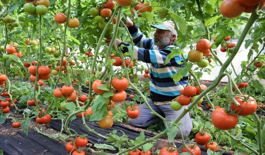 Toplantı Hali (3)