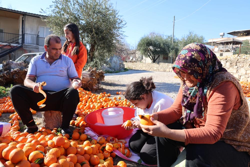 Adana Kurulan Narenciye3