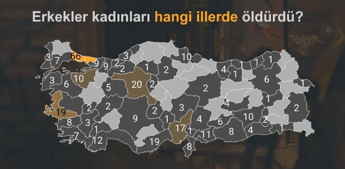 Bianet 2024 Erkek Şiddeti Çetelesi 5