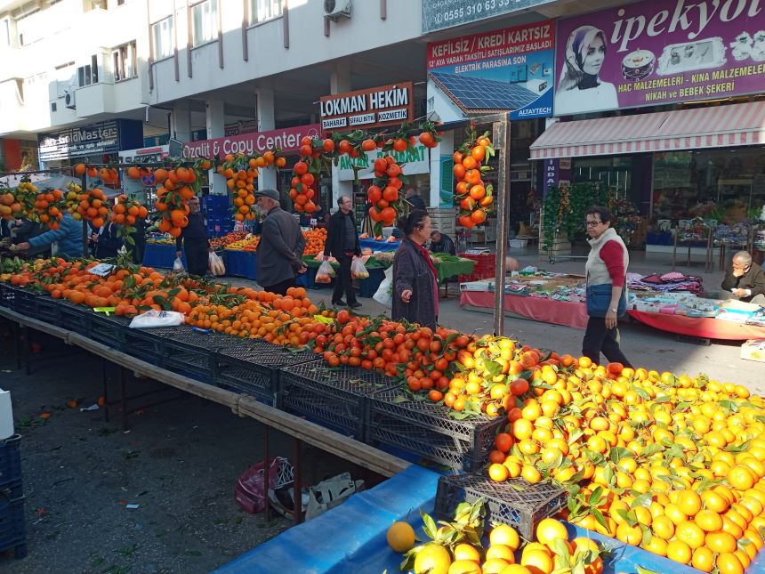 Cuma Pazarı’nda Turunçgiller (2)