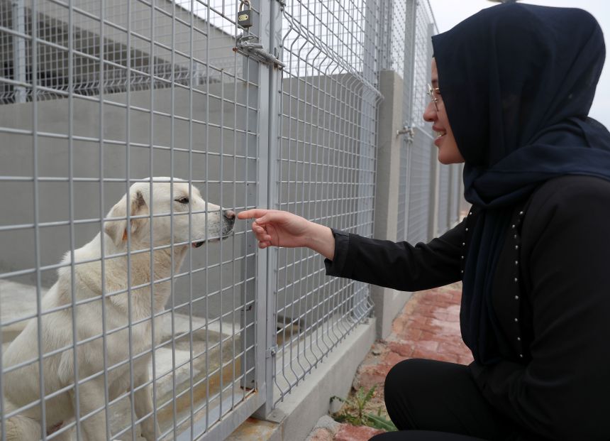 Sokak Hayvanları Geçici Bakımevi Ve Rehabilitasyon Merkezi (4)