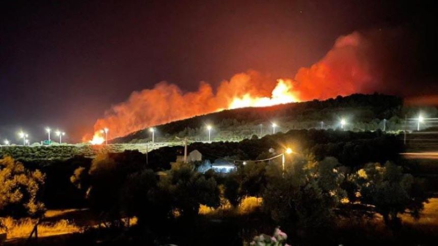 İzmir'de Çıkan Orman Yangınları 2024 Yılına Damga Vuran Olaylardan Biri Olan (Dha)