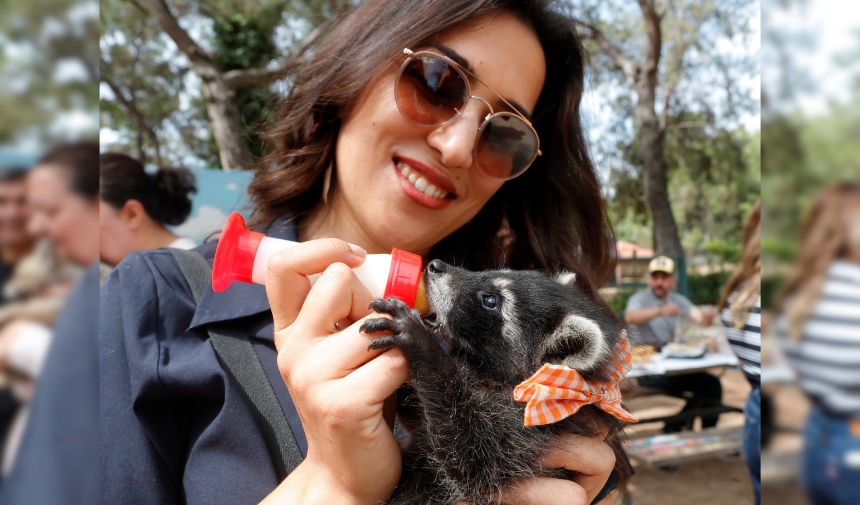 Antalya Doğal Yaşam Parkı 5
