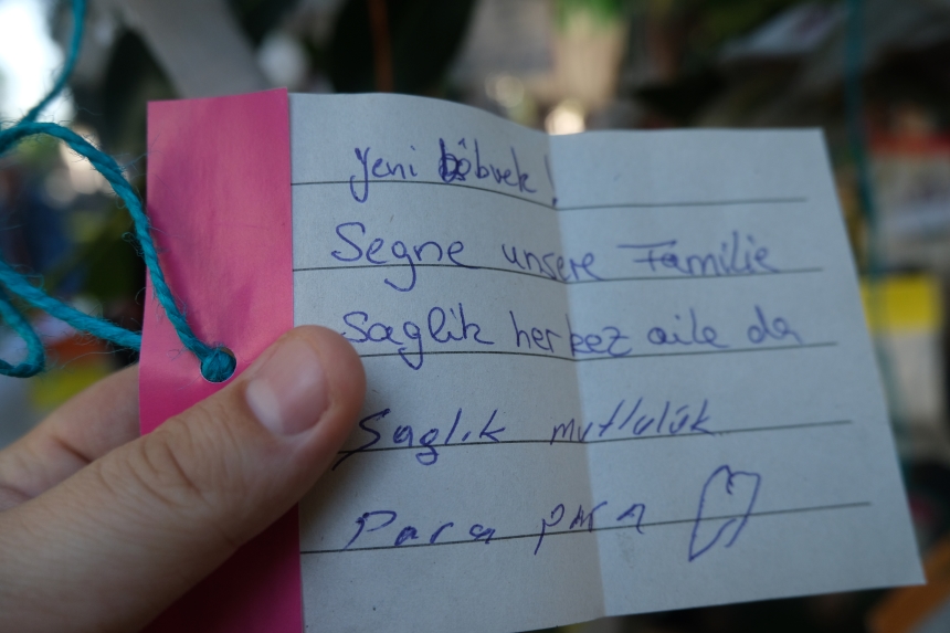 Dilek 12