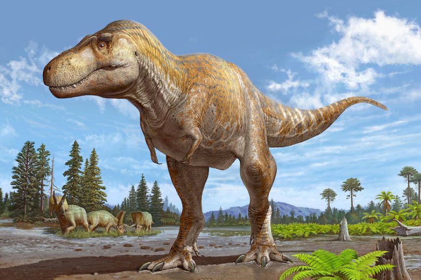 Dinozor Resim
