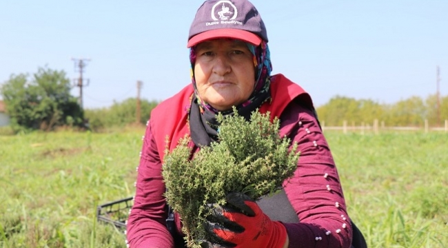 Keki̇k Hasati