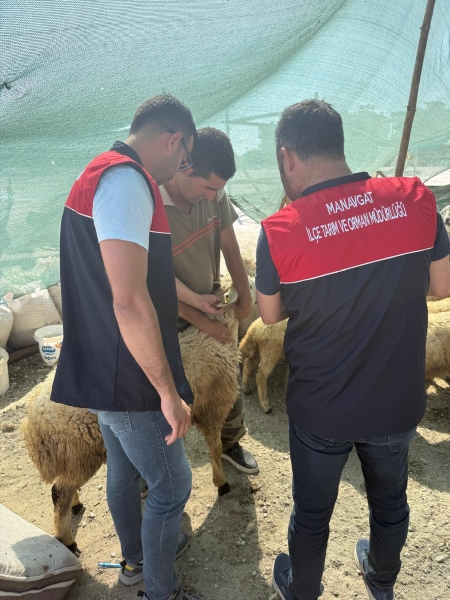 Manavgat Kurban Denetimi (2)