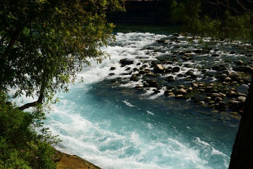 Ağaç Ve Dere