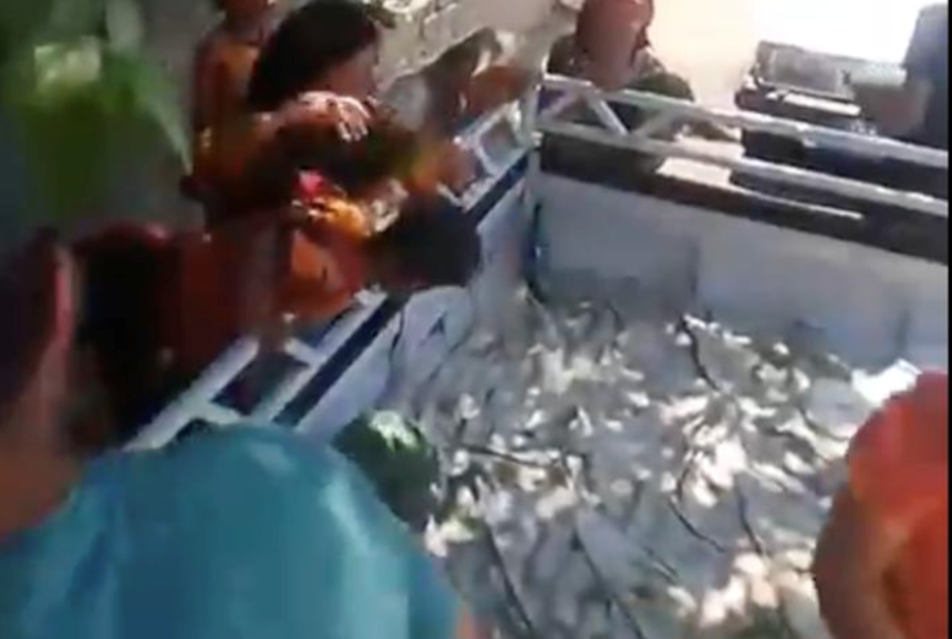 Bedava Karpuz Antalya (1)