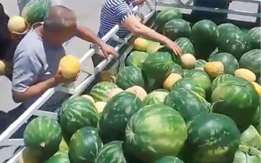 Bedava Karpuz Antalya (2)