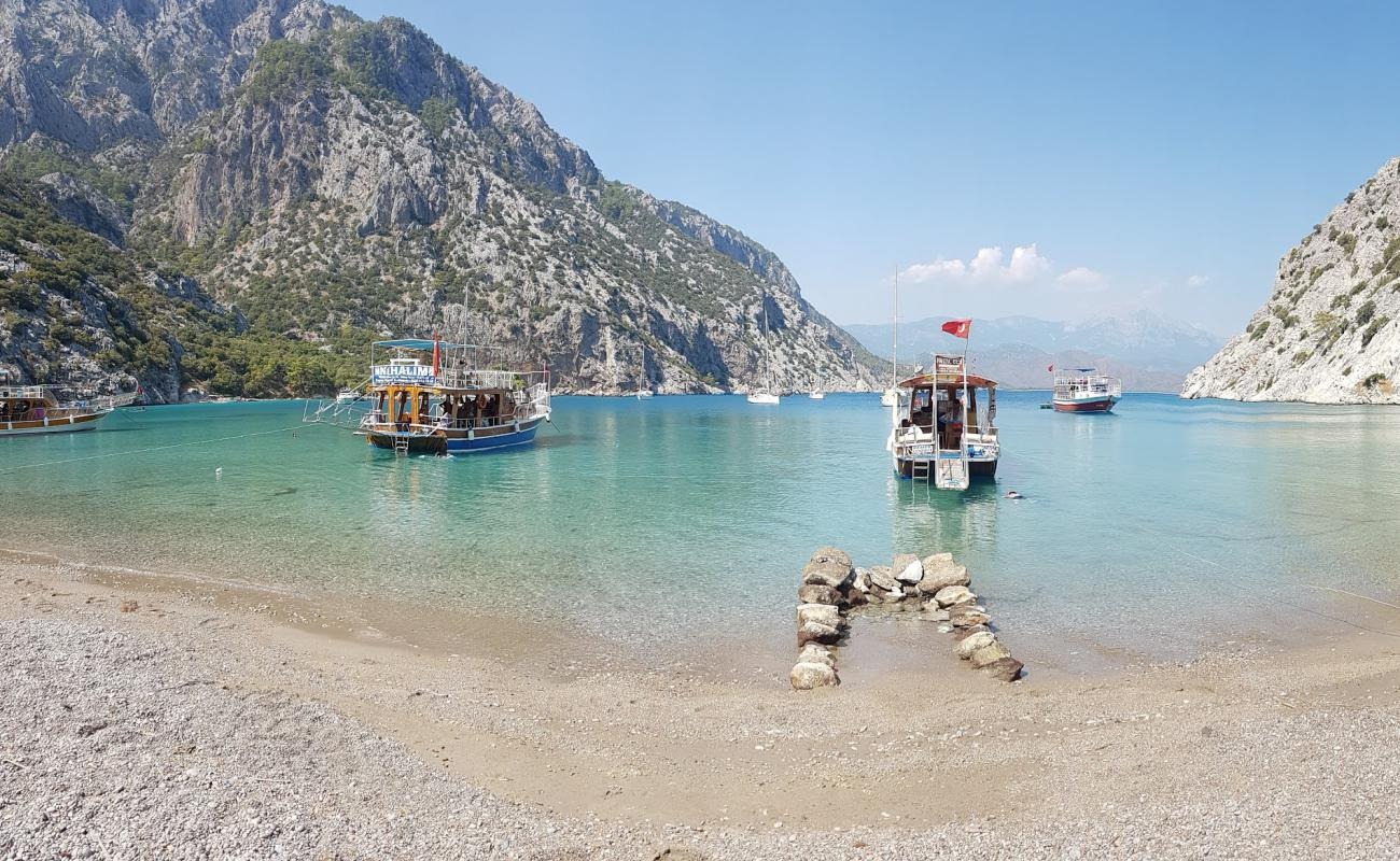 Porto Ceneviz Koyu