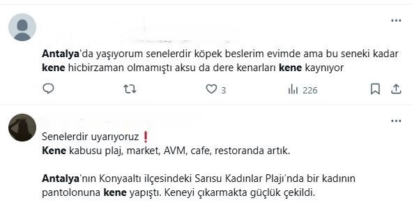 Antalya Kene 3