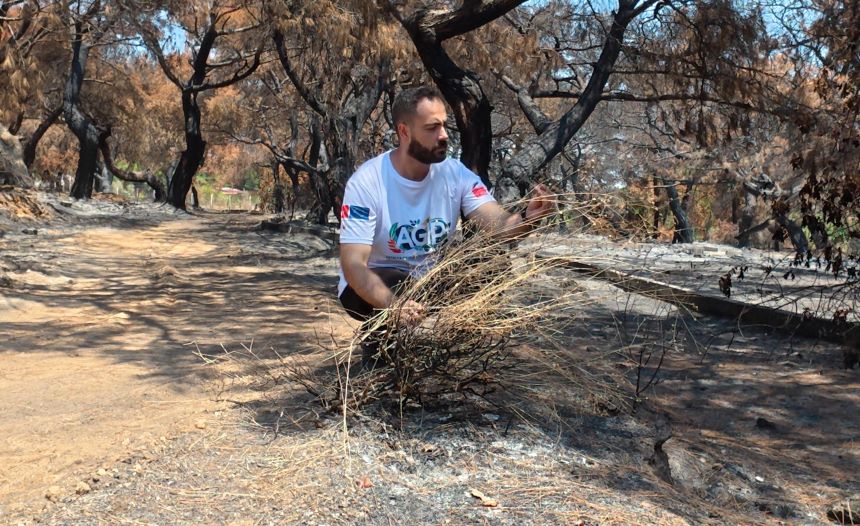 Antalya Muratpaşa Orman Yangını (2)