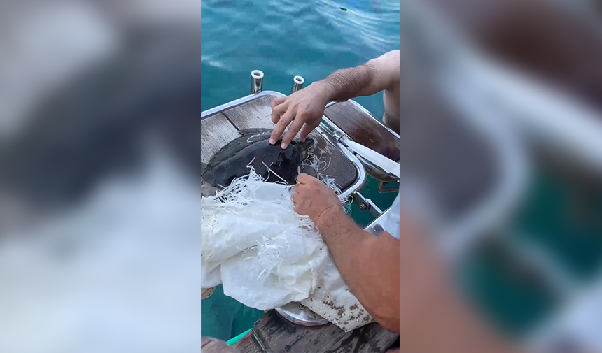 Çuvala Dolanan Caretta Carettayı Kurtardı Antalya 2