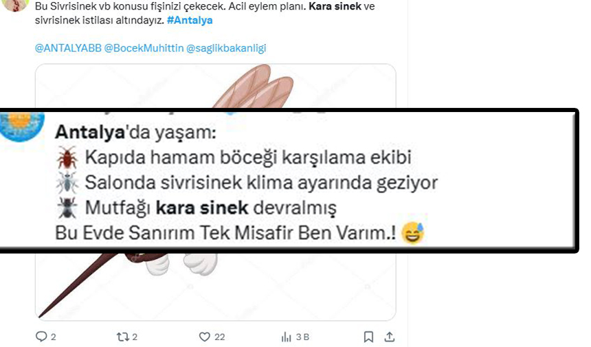Karasinek Yorumları
