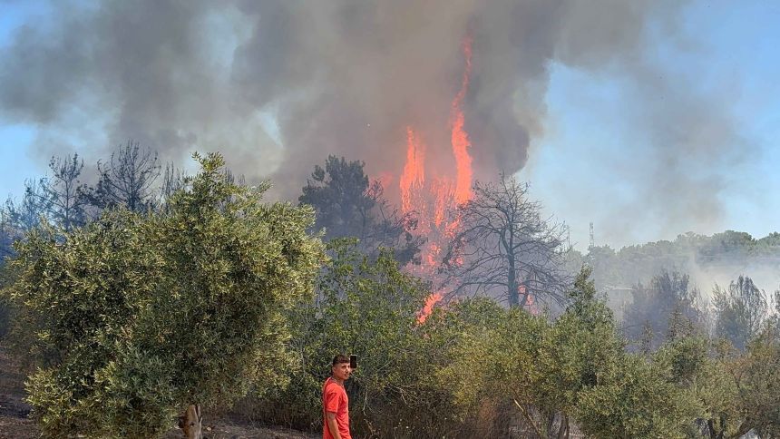 Orman Yangını Antalya