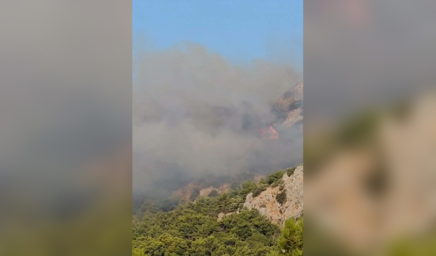 Orman Yangını Muğla Ortaca 2