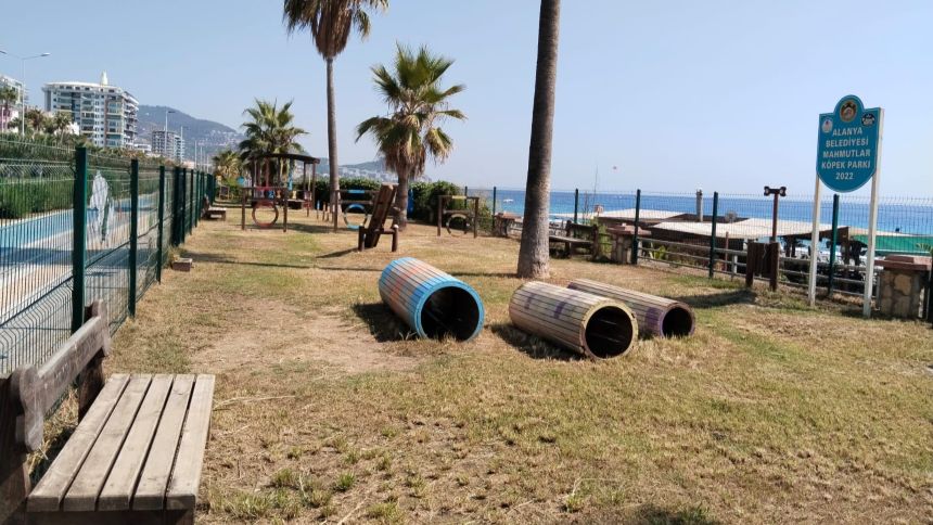Alanya Köpek Parkı (3)
