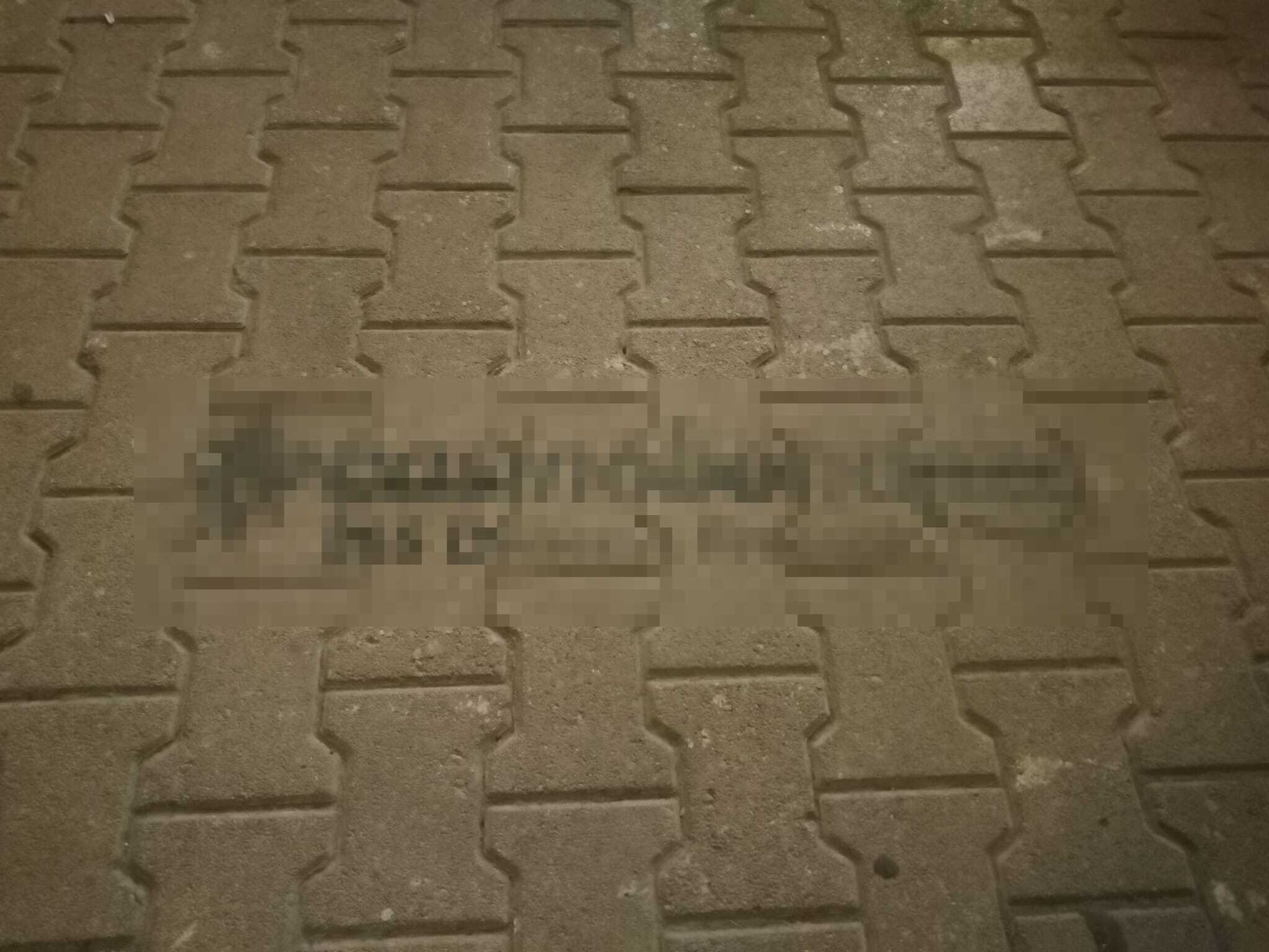 Antalya Kaldırım Kumar Reklamı 2
