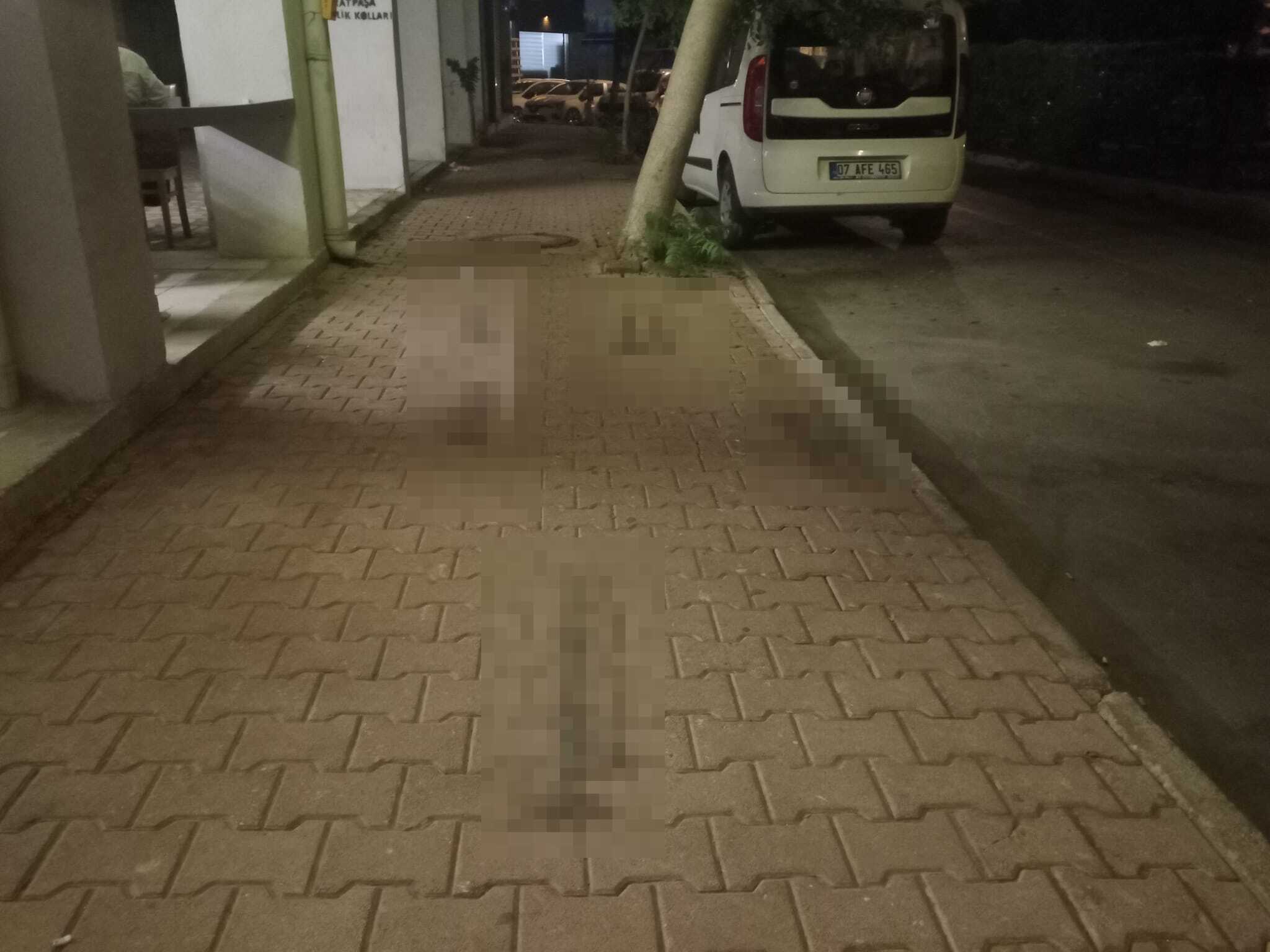Antalya Kaldırım Kumar Reklamı