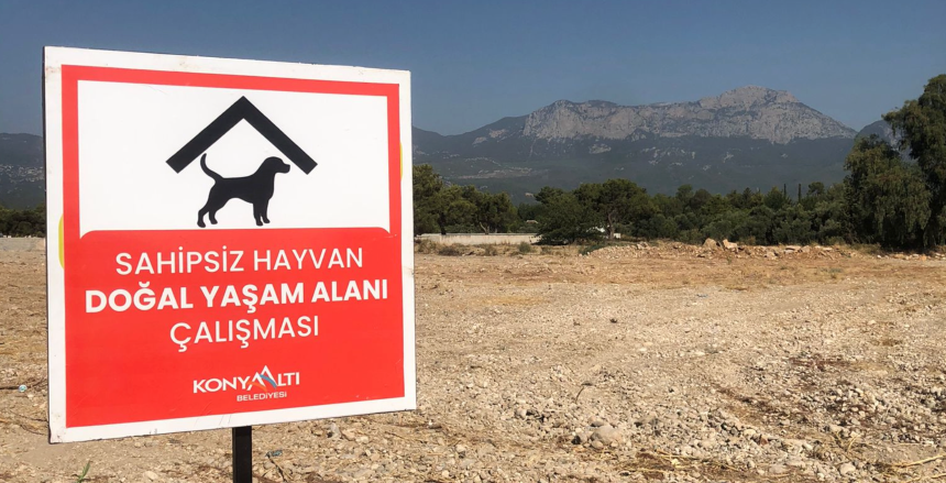 Ekran Resmi 2025 08 16 16.18.29