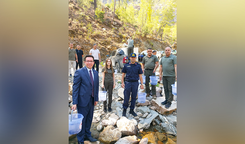 Gündoğmuş Balık Bırakılması (3)