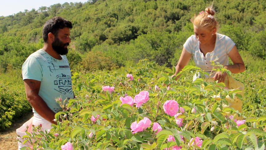 Isparta Gül Bahçeleri (3)