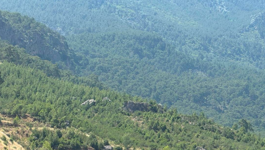 Kalker Ocağı Konyaaltı Hacısekililer Mahallesi (1)