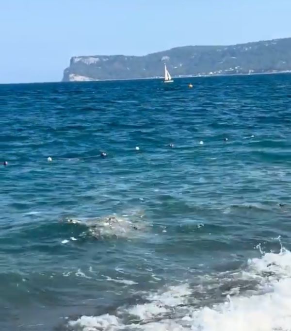 Kemer Deniz Krililiği (1)