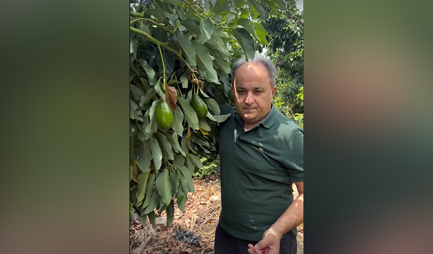 Nurettin Uludağ Eski Alanya Belediye Başkanı 2