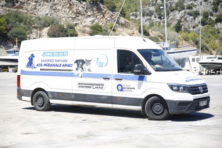 Sokak Hayvanları Için Ambulans