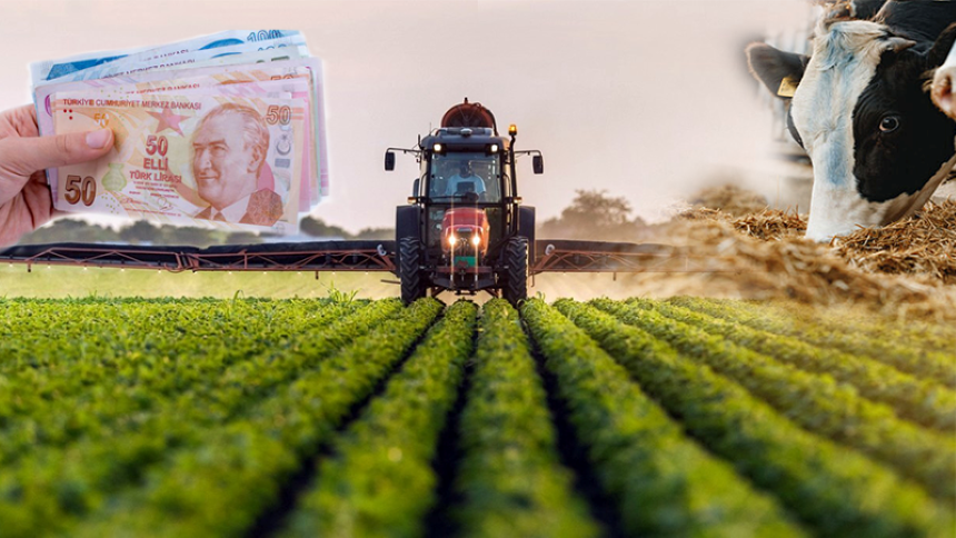 Tarım Girdi Maliyeti 2