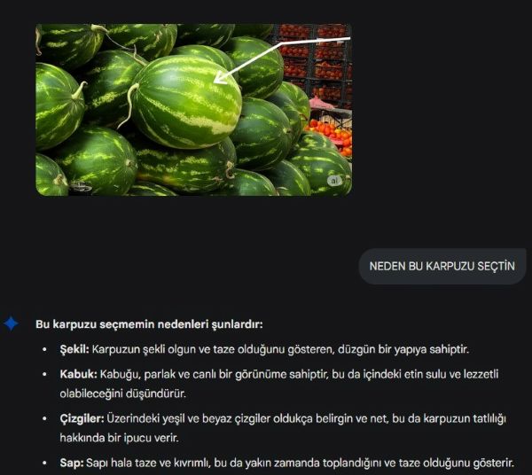 Yapay Zeka Karpuz Seçimi