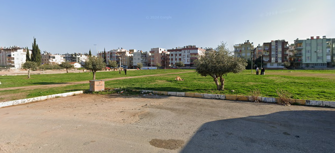 Zeyti̇n Ağaçli Çi̇mli̇ Eski̇ Hali̇ (2)