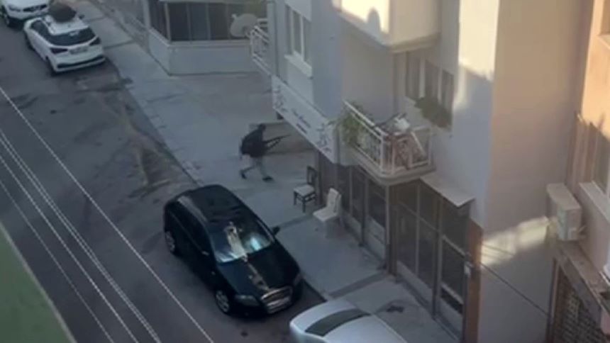 İzmir’in Balçova Ilçesinde Bir Polis Karakoluna Düzenlenen Silahlı Saldırı (2)
