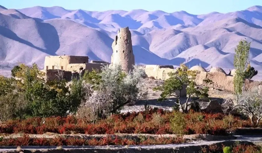 Karamık (Zereşk) Bahçeleri 2 Güney Horasan İran