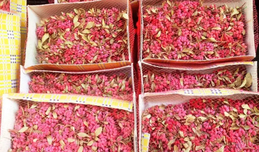 Karamık (Zereşk) Pazar Tezgahı İran