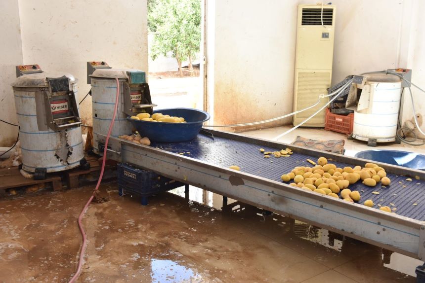 Kepezde 1,5 Ton Patates Imha Edildi 9