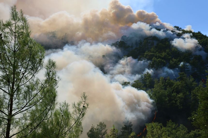 Köyceğiz'de Orman Yangınına 22 Hava Aracıyla Müdahale Edildi (2)