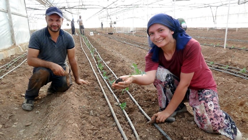 Kumluca'da Seralar Canlandı (1)